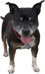Molly - Workshop meet and greet